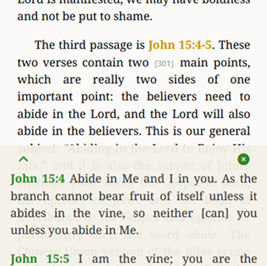 Scripture viewer