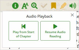 Audio Playback Options